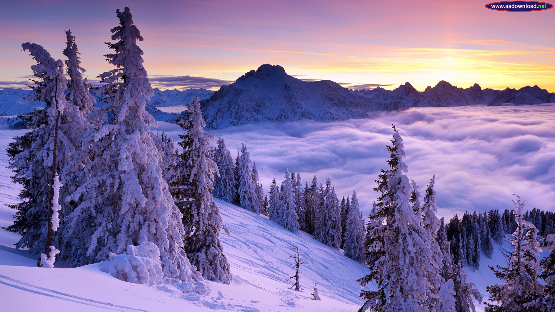زیبایی طبیعت زمستان‌، تصاویری از طبیعت در فصل زیبای زمستان